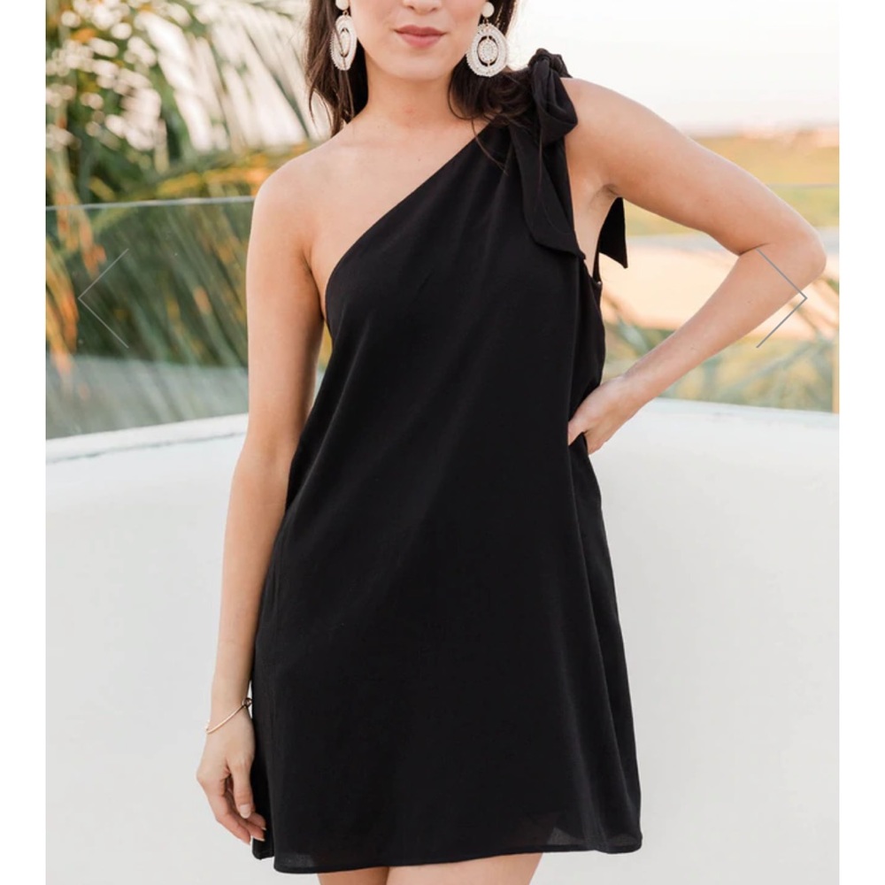 Pink Lily boutique thriving all night black one shoulder dress